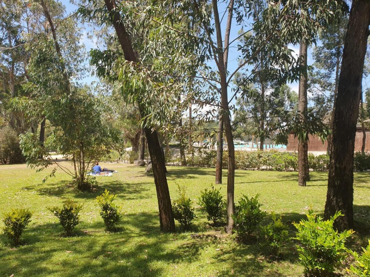 Punta Del Este, Forest Lagoon, Luxury Eksteriør billede